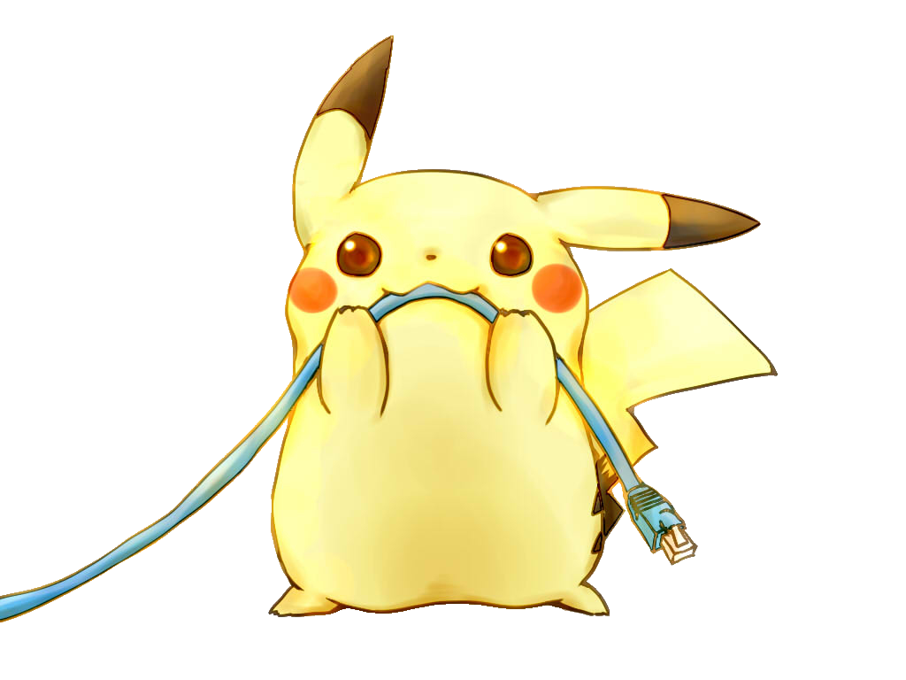 Pika with ethernet cable